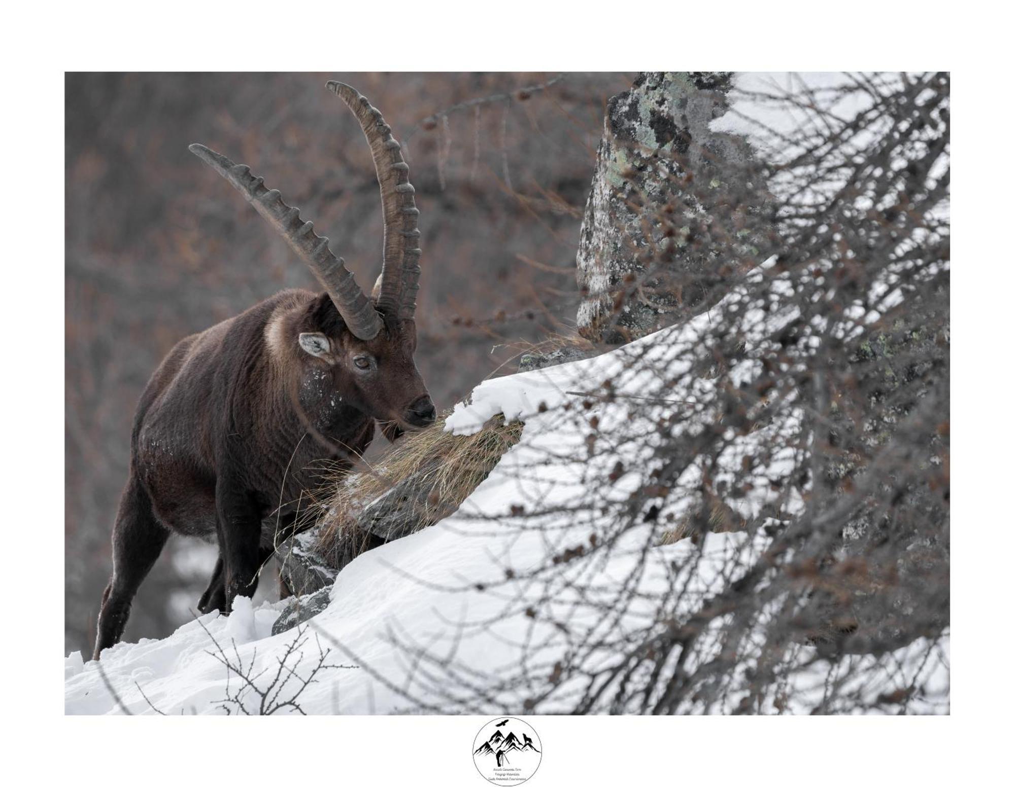Appartamento Lo Bou Вальсаваранш Экстерьер фото
